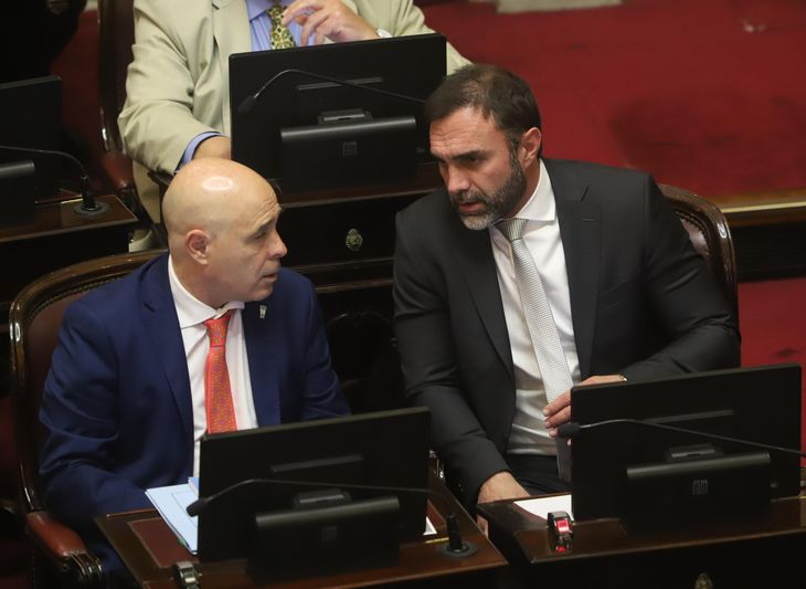 La bancada libertaria había votado a favor de la Emergencia en el Senado. La bancada libertaria había votado a favor de la Emergencia en el Senado.