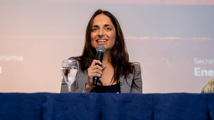 Cecilia Garibotti alertó sobre los riesgos que implica la propuesta oficial: “Me resulta preocupante la letra chica: dicen que van a hacer un concurso público internacional y nacional para la subconcesión sin base, es decir, sin monto mínimo para concesionarla".