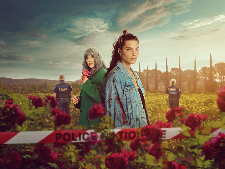 En Netflix, esta serie corta mezcla drama, crimen y secretos familiares en seis capítulos que se ven sin pestañear.