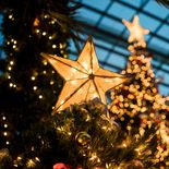 La IA determinó cuáles son los mejores regalos para esta Navidad. La IA determinó cuáles son los mejores regalos para esta Navidad.