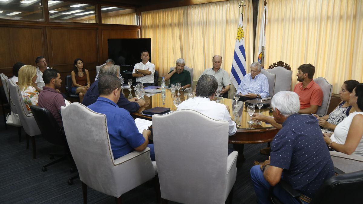 Maldonado advances in a plan to support producers
