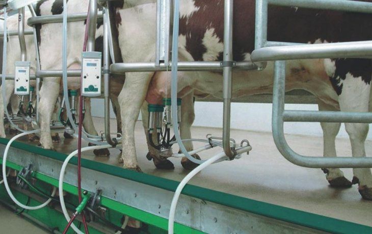 Dólar soja: la industria láctea advirtió por la rentabilidad de la cadena en medio de la sequía