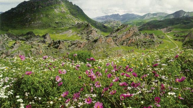 El Valle Encantdo, un lugar mágico en Salta para visitar camino a Cachi.