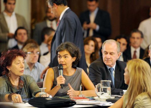 Kicillof, en el Senado: No le vamos a pagar a Repsol lo que ellos quieran (foto 4)