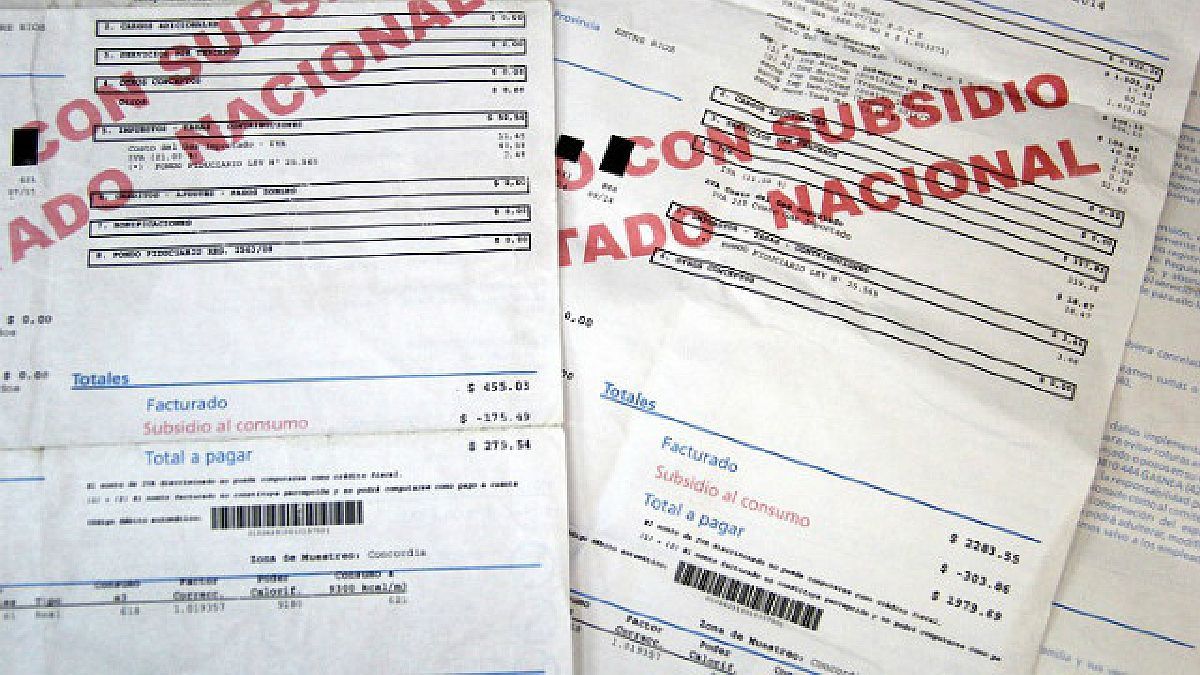 They assure that electricity rates should rise another 80%