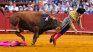 Grave cornada en Sevilla: un famoso torero español debió ser intervenido de urgencia.