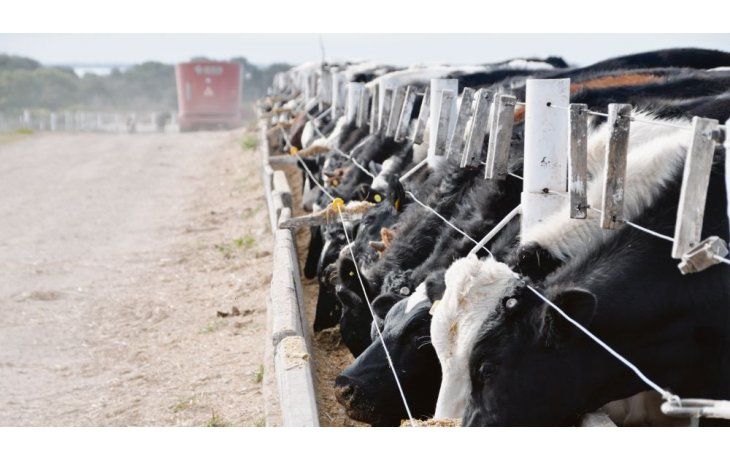 Las exportaciones de carne vacuna registraron una caída del 27,7% en comparación con el mismo mes de 2024.