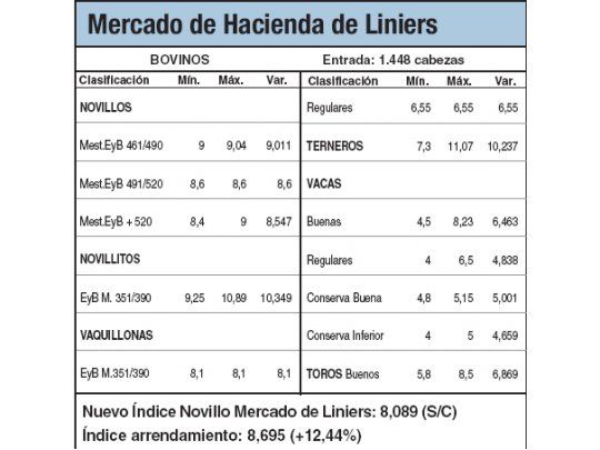 Nuevo récord en los novillitos