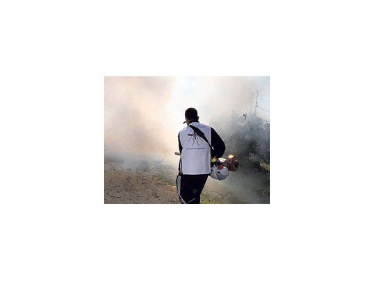 Pese a las fumigaciones que se realizan en todo el país, el avance de la enfermedad no se detiene.