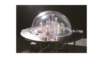 «Calor, Humedad y Vapor Turner en el Siglo XXI», de Marina Zerbarini», una de las obras de la muestra «Intersecciones: Tecnología, Naturaleza, Subjetividad», que dio origen a un libro de su curador Jorge Zuzulich.