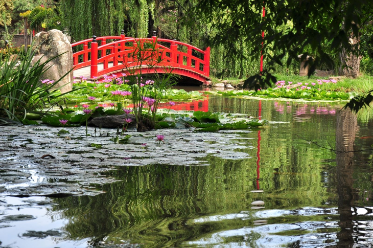 Jardín Japonés