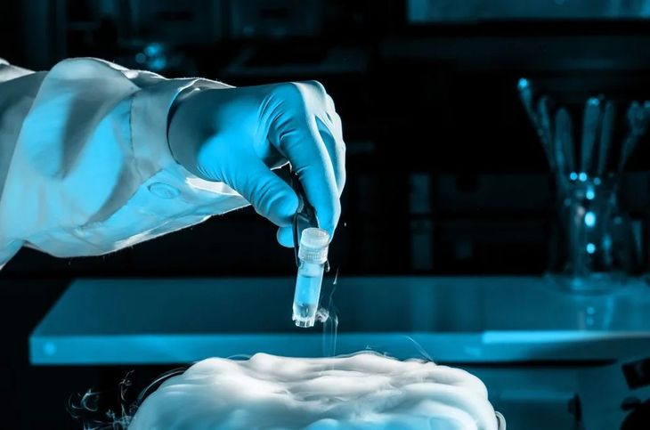 cryopreservation