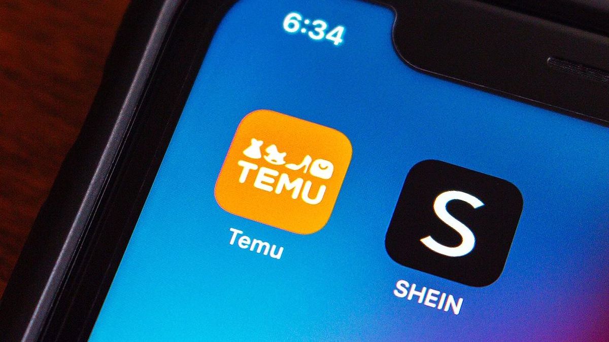 Fall of activity and the threat of Shein and Temu: from unfair competition to Argentine innovation