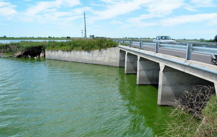 Emiten un alerta por riesgo de intoxicación con cianobacterias en una laguna bonaerense.
