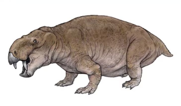 Un hallazgo de hace 60 años redefine la historia de los primeros dinosaurios. Un hallazgo de hace 60 años redefine la historia de los primeros dinosaurios.