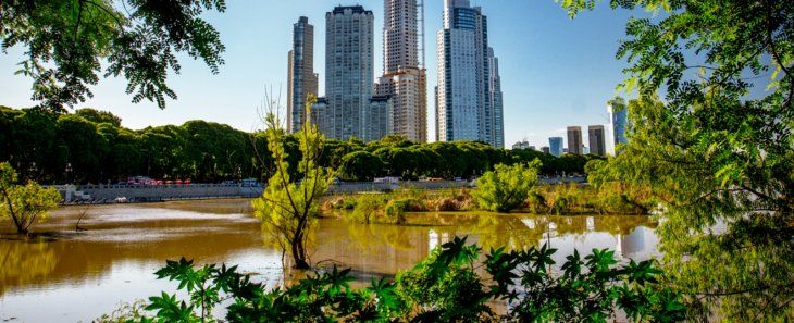 Costanera Sur Ecological Reserve. Costanera Sur Ecological Reserve.