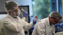 aprueban la venta de carne de pollo salida de laboratorios