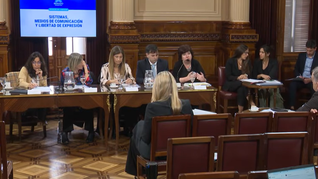 Periodistas expusieron en el Senado. Periodistas expusieron en el Senado.