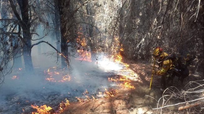 Los focos de incendios en Chubut se reavivaron en los últimos días.