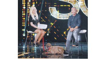 Susana GIménez, con su “dog trainer”, logró más rating que con cualquier otro invitado.