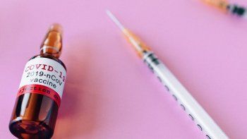 covid-19: pfizer pidio autorizacion de uso de emergencia en europa para su vacuna