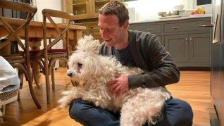 Mark Zuckerberg en su casa de Palo Alto junto a su perro, en una imagen que contrasta con las tensiones que generó su presencia en Crescent Park Mark Zuckerberg en su casa de Palo Alto junto a su perro, en una imagen que contrasta con las tensiones que generó su presencia en Crescent Park