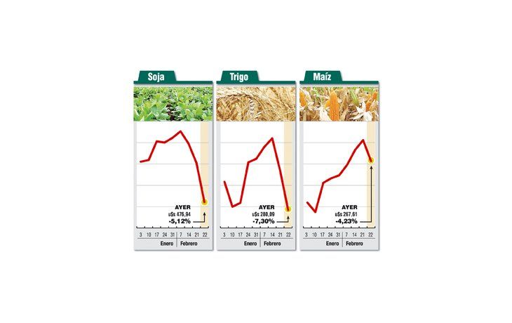 ámbito.com | Malo para Argentina: soja se desplomó 5%