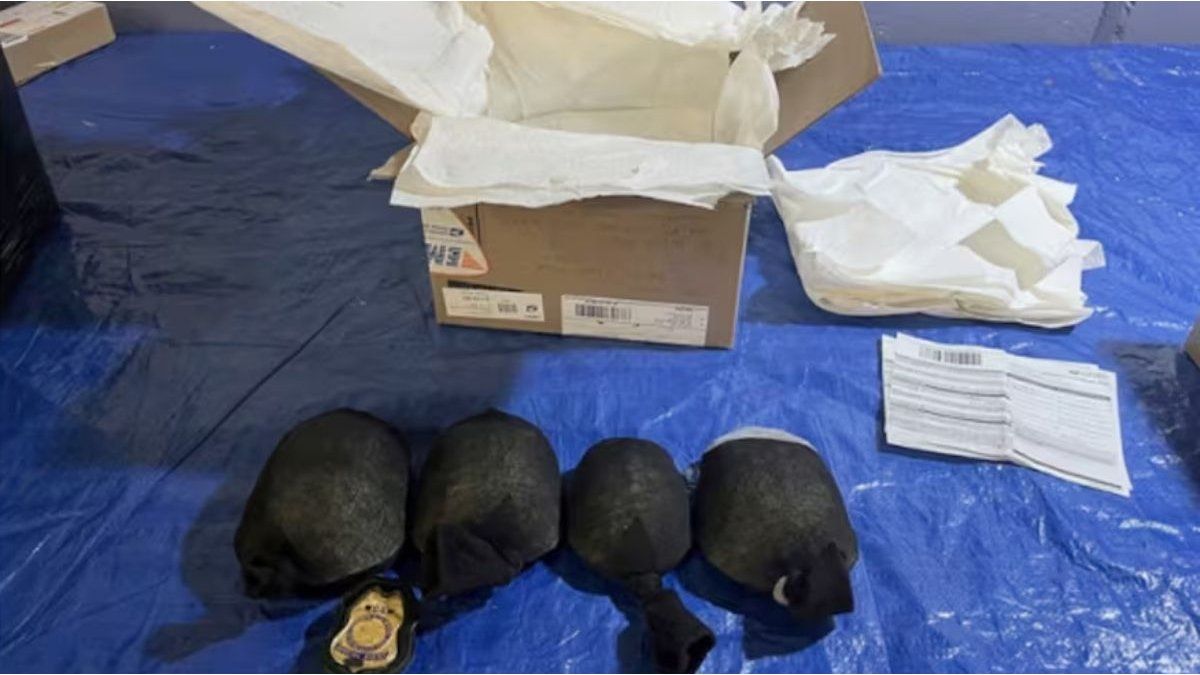 A man was arrested for trying to send 850 turtles to Hong Kong
