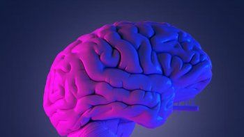 cerebro: el rol de la infancia en el desempeno cognitivo durante la adolescencia