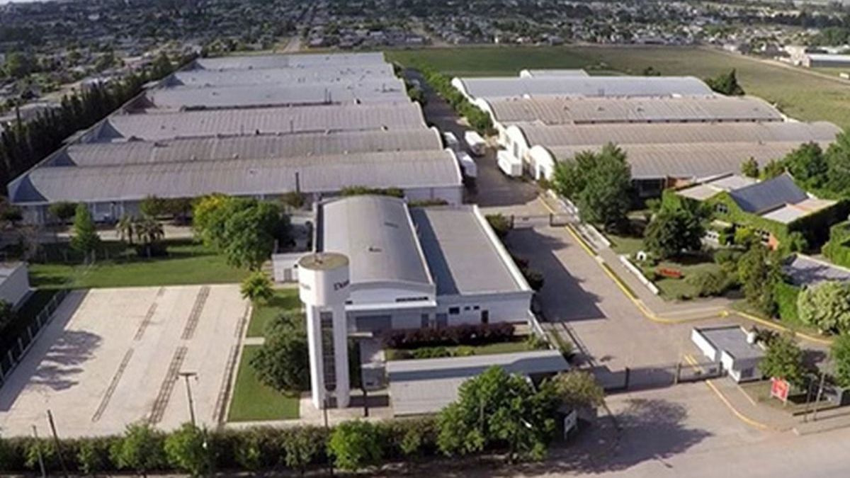 Province of Buenos Aires: a new hearing is called for layoffs at a plant that produces for Adidas