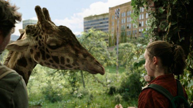 The Last of Us: is the giraffe that appears in the last episode real?