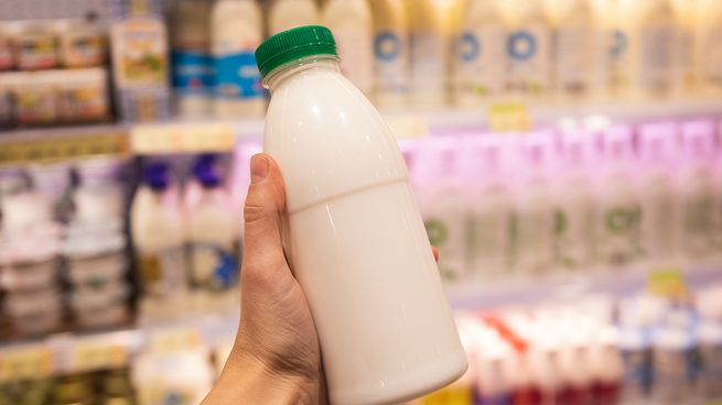 Brasil busca frenar la importación de leche desde países del Mercosur.