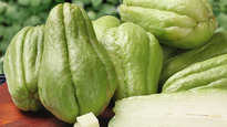 Conoce cuáles son las ventajas del chayote, una de las verduras más nutritivas de México.