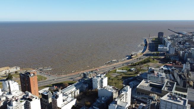 El equipo a cargo del estudio pertenece Centro de Investigaciones del Medio Ambiente (CIM), dependiente del CONICET.