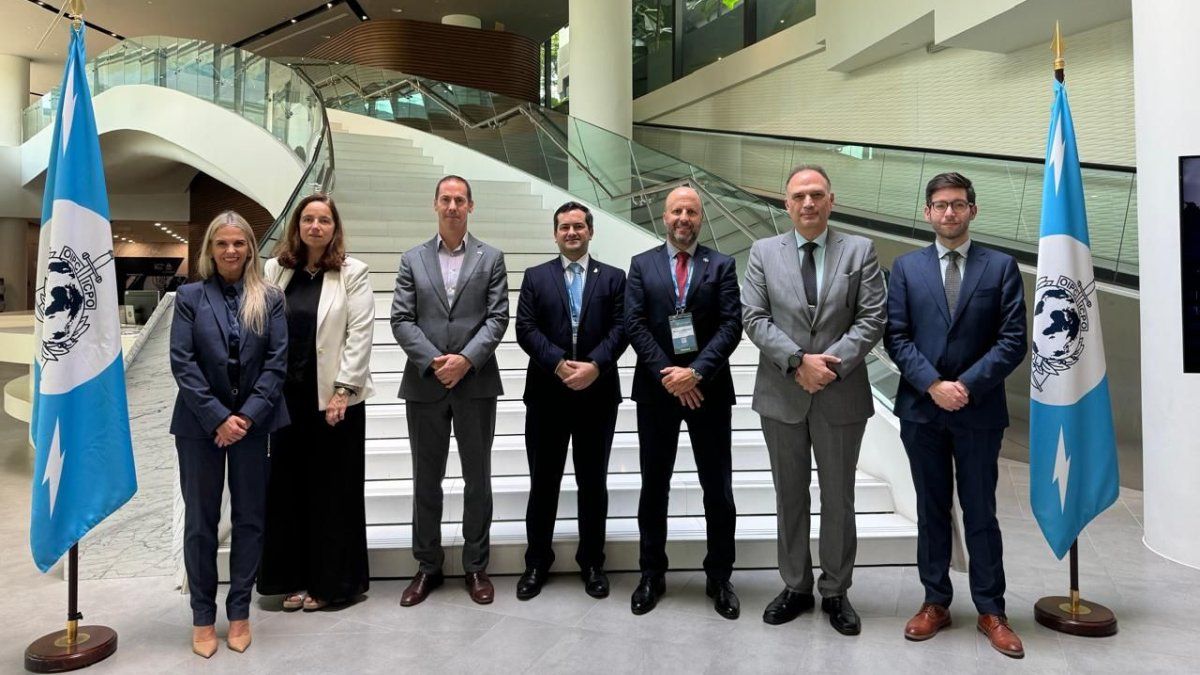 Argentine mission to the FATF advances to prevent the country from falling on the gray list Argentine mission to the FATF advances to prevent the country from falling on the gray list