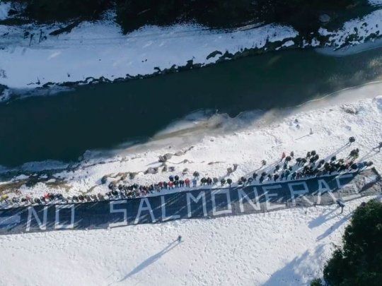 Salmón Tierra del Fuego