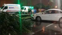 El vehículo terminó incrustado contra una palmera