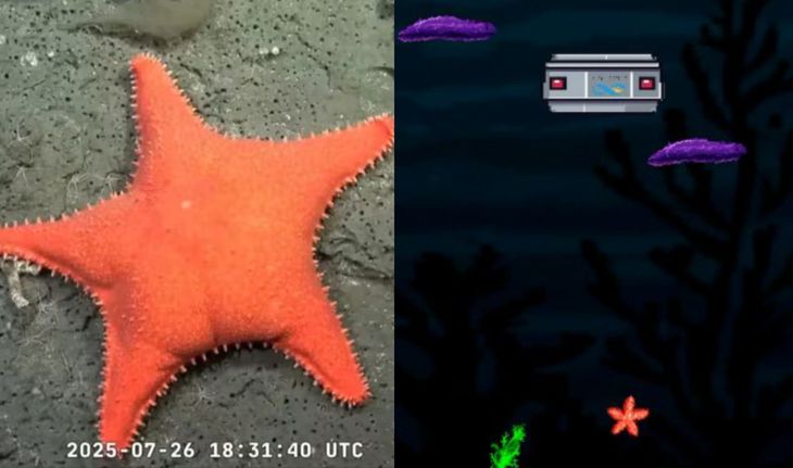 Es tal el fenómeno de la misión del CONICET que se convirtió en video juego, muñecos y miles de iniciativas más. Es tal el fenómeno de la misión del CONICET que se convirtió en video juego, muñecos y miles de iniciativas más.