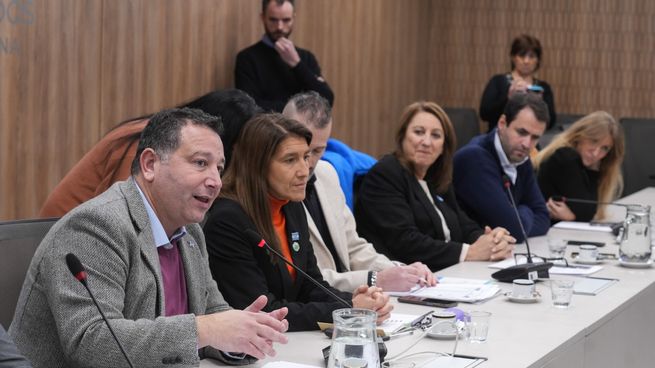Elio del Ré y Ángeles Naveyra en la Comisión de Pequeñas y Medianas Empresas de Diputados.