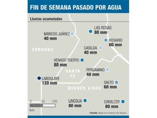 Advierten que por lluvias la soja perderá calidad
