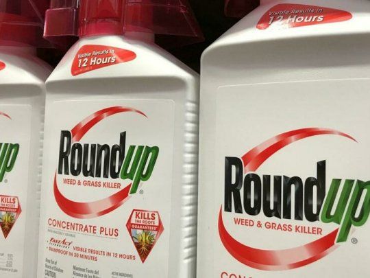 Bayer argumentó reiteradamente que las afirmaciones de que el Roundup -en base a glifosato- produce cáncer van en contra de hechos científicos concretos y que el producto ha recibido la autorización del regulador ambiental federal.