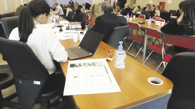 ejemplos. Durante el plenario de ayer se vieron algunos esbozos de boletas. La discusión seguirá el 31-5.