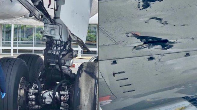 El avión es un Boeing 787 Dreamliner.