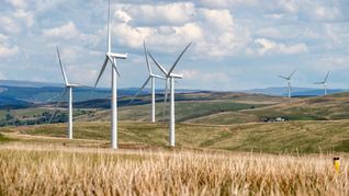 Uruguay destaca en la región como referente en energías renovables.