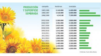 ámbito.com | La revancha del girasol, el nuevo cultivo estrella