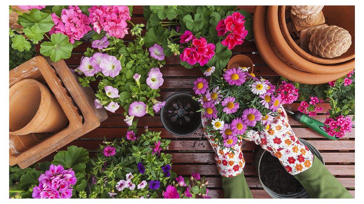 Everyone has this element at home, but nobody knows that it is very helpful for the garden