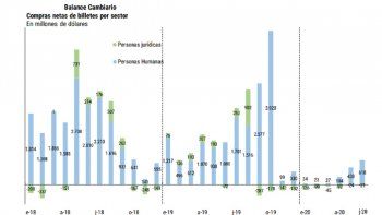 ámbito.com | balance cambiario junio Banco Central