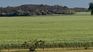 Brazilian agriculture, a model to imitate for Argentina, without a doubt, in pursuit of being more competitive in the world. Brazilian agriculture, a model to imitate for Argentina, without a doubt, in pursuit of being more competitive in the world.