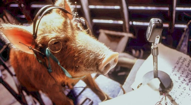 Hace 80 años, George Orwell nos advertía en “Animal Farm” en contra de la tendencia de los regímenes con ideologías extremas, para dominar “el relato” y acallar las voces disidentes. Hace 80 años, George Orwell nos advertía en “Animal Farm” en contra de la tendencia de los regímenes con ideologías extremas, para dominar “el relato” y acallar las voces disidentes.