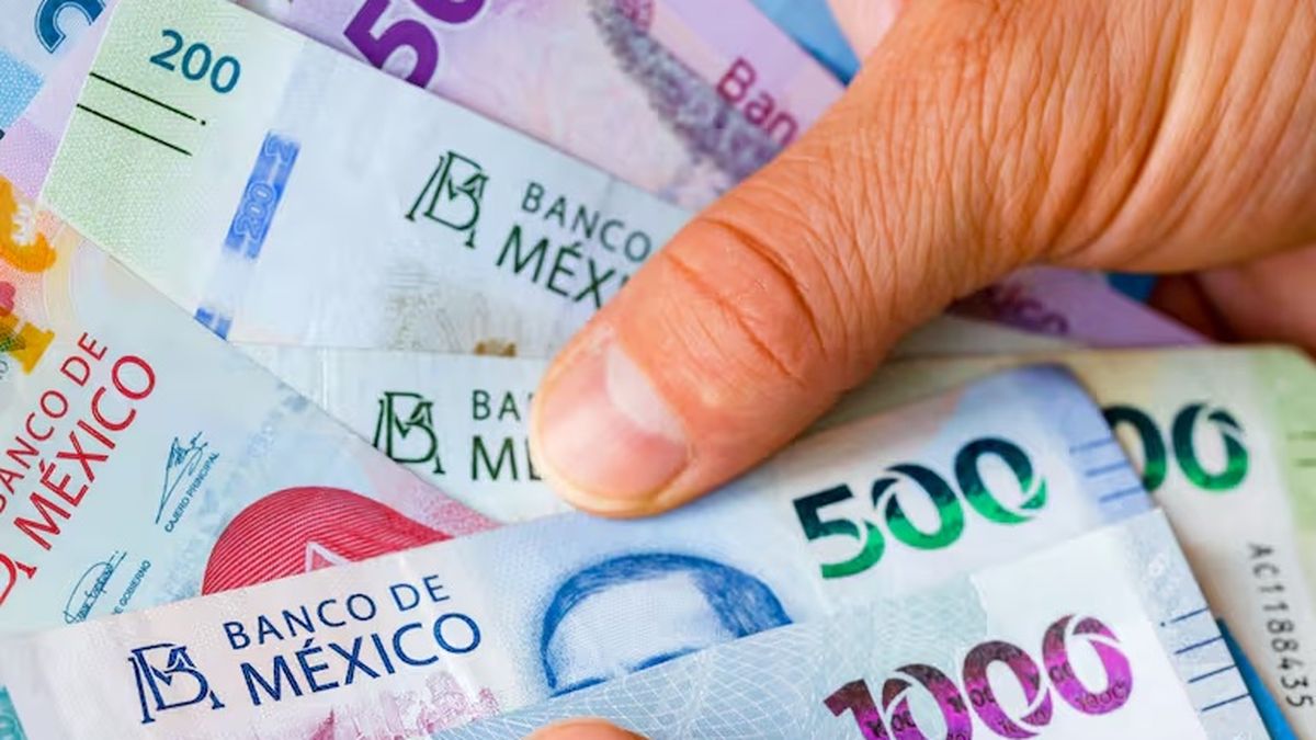 Calendario de pagos IMSS e ISSSTE de septiembre 2026: CONFIRMAN ...